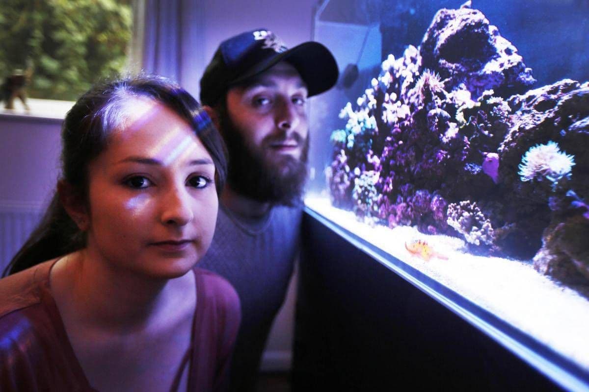 Family and Firefighters Hospitalised After Home Fish Tank Released World's Second Deadliest Poison