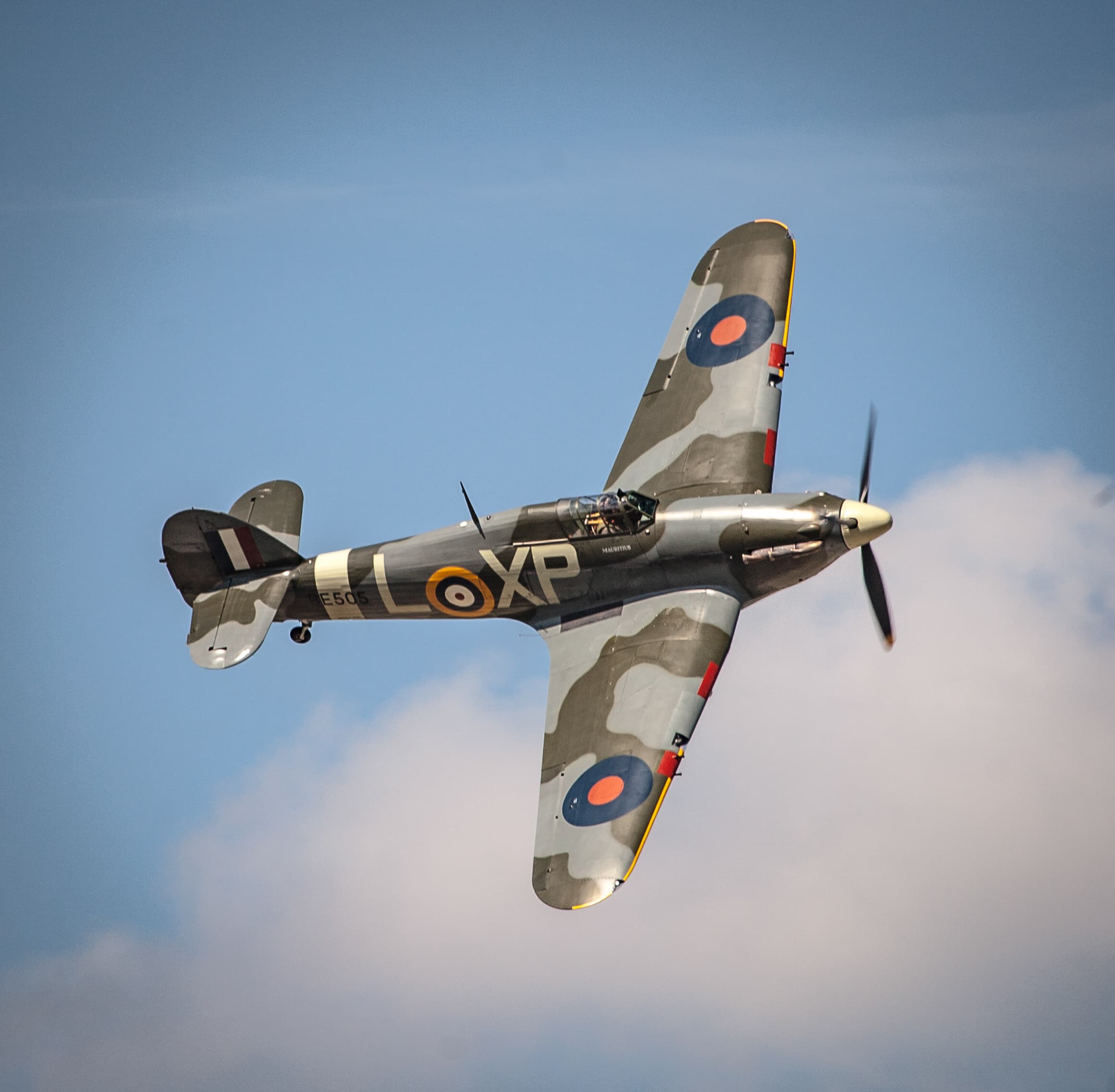 Man With Rare Dementia Cried Tears of Joy Every Time a Spitfire Flew Over His House
