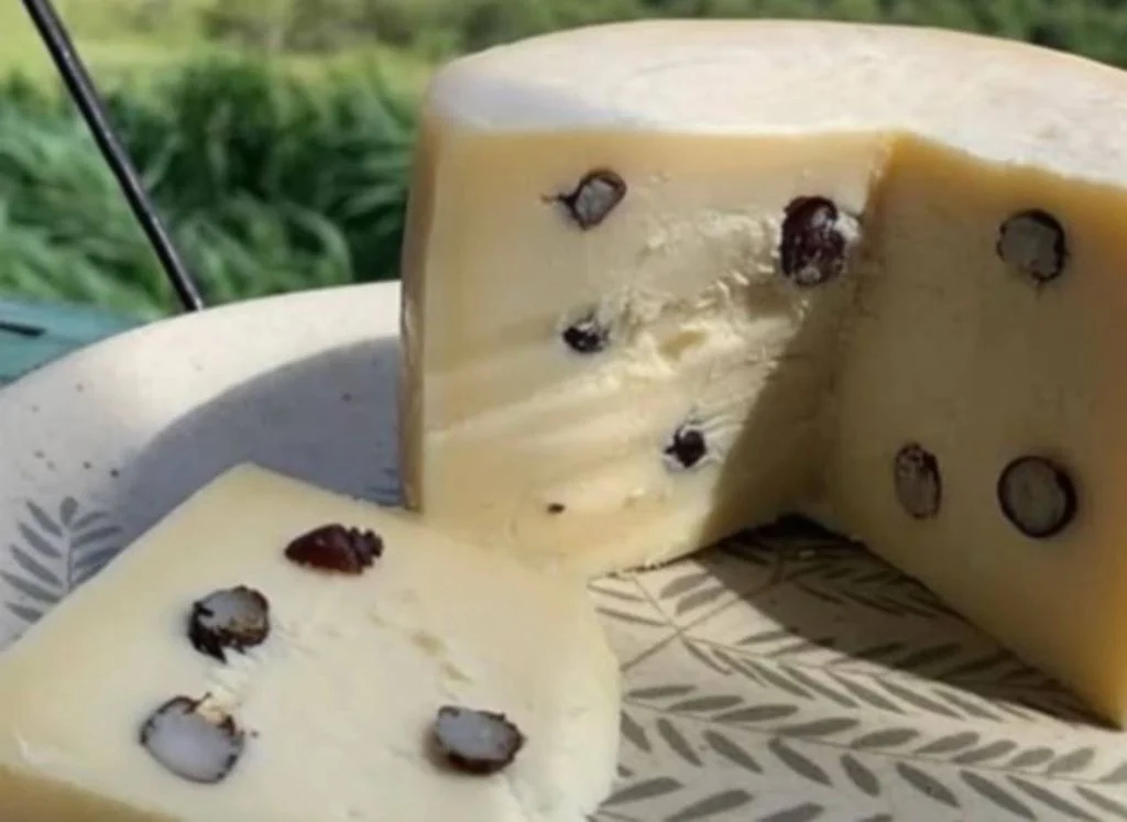 Brazilian Ant-Infused Cheese Proves Massive Hit, Wins International Awards