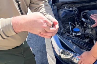 California Driver Hears Mysterious Meowing Under Hood โ Three Kittens Had Taken Up Residence in the Car Engine