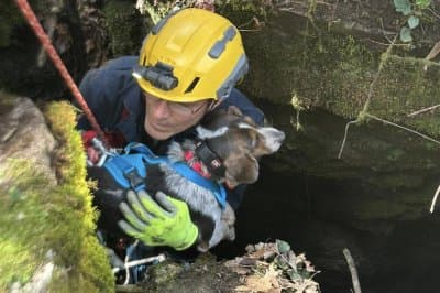 Firefighters Use Spelunking Skills to Rescue Dog Trapped 40 Feet Underground in Kentucky Cave