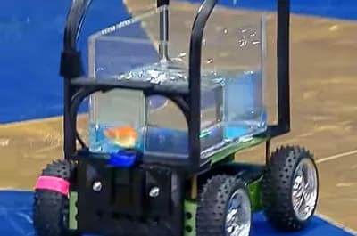Dutch Engineer Builds a Car for His Pet Goldfish โ Blub Drives It 40 Feet in 60 Seconds to Set Guinness World Record